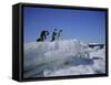 Adelie Penguins, Antarctica-Geoff Renner-Framed Stretched Canvas