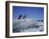 Adelie Penguins, Antarctica-Geoff Renner-Framed Photographic Print