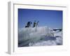 Adelie Penguins, Antarctica-Geoff Renner-Framed Photographic Print