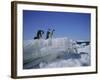 Adelie Penguins, Antarctica-Geoff Renner-Framed Photographic Print