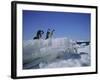 Adelie Penguins, Antarctica-Geoff Renner-Framed Photographic Print