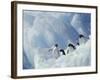 Adelie Penguins, Antarctica-Art Wolfe-Framed Photographic Print