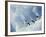 Adelie Penguins, Antarctica-Art Wolfe-Framed Photographic Print