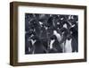 Adelie penguins, Antarctica-Art Wolfe-Framed Photographic Print