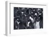 Adelie penguins, Antarctica-Art Wolfe-Framed Photographic Print