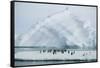 Adelie Penguins beneath Large Ice Pyramid-DLILLC-Framed Stretched Canvas