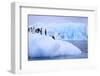 Adelie Penguins Clustered on an Iceberg-DLILLC-Framed Photographic Print