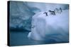 Adelie Penguins Jumping into Water-DLILLC-Stretched Canvas