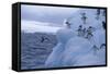 Adelie Penguins Jumping into Water-DLILLC-Framed Stretched Canvas