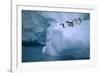 Adelie Penguins Jumping into Water-DLILLC-Framed Photographic Print