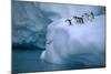 Adelie Penguins Jumping into Water-DLILLC-Mounted Photographic Print