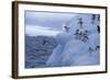 Adelie Penguins Jumping into Water-DLILLC-Framed Photographic Print