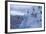 Adelie Penguins Jumping into Water-DLILLC-Framed Photographic Print