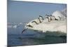 Adelie Penguins Jumping off an Iceberg-DLILLC-Mounted Photographic Print