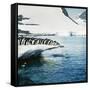 Adelie Penguins Leaping Off Ice-null-Framed Stretched Canvas