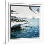 Adelie Penguins Leaping Off Ice-null-Framed Photographic Print