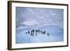 Adelie Penguins on Ice Floe-DLILLC-Framed Photographic Print