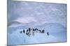 Adelie Penguins on Ice Floe-DLILLC-Mounted Photographic Print