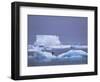 Adelie Penguins on Iceberg, Paulet Island, Antarctica, Polar Regions-David Tipling-Framed Photographic Print