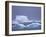 Adelie Penguins on Iceberg, Paulet Island, Antarctica, Polar Regions-David Tipling-Framed Photographic Print