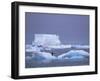 Adelie Penguins on Iceberg, Paulet Island, Antarctica, Polar Regions-David Tipling-Framed Photographic Print