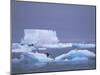 Adelie Penguins on Iceberg, Paulet Island, Antarctica, Polar Regions-David Tipling-Mounted Photographic Print
