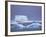 Adelie Penguins on Iceberg, Paulet Island, Antarctica, Polar Regions-David Tipling-Framed Photographic Print