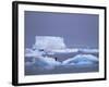 Adelie Penguins on Iceberg, Paulet Island, Antarctica, Polar Regions-David Tipling-Framed Photographic Print