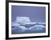 Adelie Penguins on Iceberg, Paulet Island, Antarctica, Polar Regions-David Tipling-Framed Photographic Print