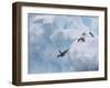 Adelie Penguins, Paulet Island, Antartica, Antarctic-Hugh Rose-Framed Premium Photographic Print