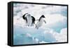 Adelie Penguins (Pygoscelis Adeliae) Antarctica-Ann Manner-Framed Stretched Canvas