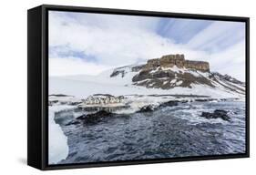 Adelie Penguins (Pygoscelis Adeliae) at Breeding Colony at Brown Bluff, Antarctica, Southern Ocean-Michael Nolan-Framed Stretched Canvas