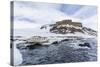 Adelie Penguins (Pygoscelis Adeliae) at Breeding Colony at Brown Bluff, Antarctica, Southern Ocean-Michael Nolan-Stretched Canvas