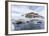 Adelie Penguins (Pygoscelis Adeliae) at Breeding Colony at Brown Bluff, Antarctica, Southern Ocean-Michael Nolan-Framed Photographic Print