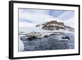 Adelie Penguins (Pygoscelis Adeliae) at Breeding Colony at Brown Bluff, Antarctica, Southern Ocean-Michael Nolan-Framed Photographic Print