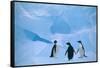 Adelie Penguins Standing on Ice Floe-DLILLC-Framed Stretched Canvas