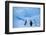 Adelie Penguins Standing on Ice Floe-DLILLC-Framed Photographic Print