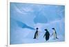 Adelie Penguins Standing on Ice Floe-DLILLC-Framed Photographic Print