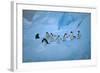 Adelie Penguins Walking on Ice Floe-DLILLC-Framed Photographic Print