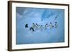 Adelie Penguins Walking on Ice Floe-DLILLC-Framed Photographic Print