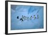 Adelie Penguins Walking on Ice Floe-DLILLC-Framed Photographic Print