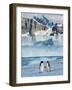 Adelie Penguins, Western Antarctic Peninsula, Antarctica-Steve Kazlowski-Framed Photographic Print