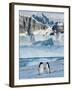 Adelie Penguins, Western Antarctic Peninsula, Antarctica-Steve Kazlowski-Framed Photographic Print