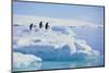 Adelie Penguins-DLILLC-Mounted Photographic Print