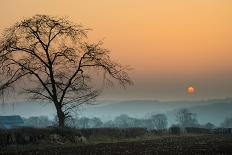 Autumn Lights-Adelino Gonçalves-Photographic Print