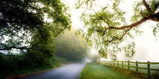 October’s Fog-Adelino Gonçalves-Photographic Print