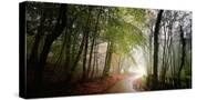 Stretched Canvas