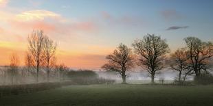 October’s Fog-Adelino Gonçalves-Photographic Print