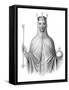 Adeliza of Leuven, Queen of Henry I of England-Henry Colburn-Framed Stretched Canvas