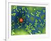 Adeno-associated Virus, TEM-Dr. Linda Stannard-Framed Photographic Print